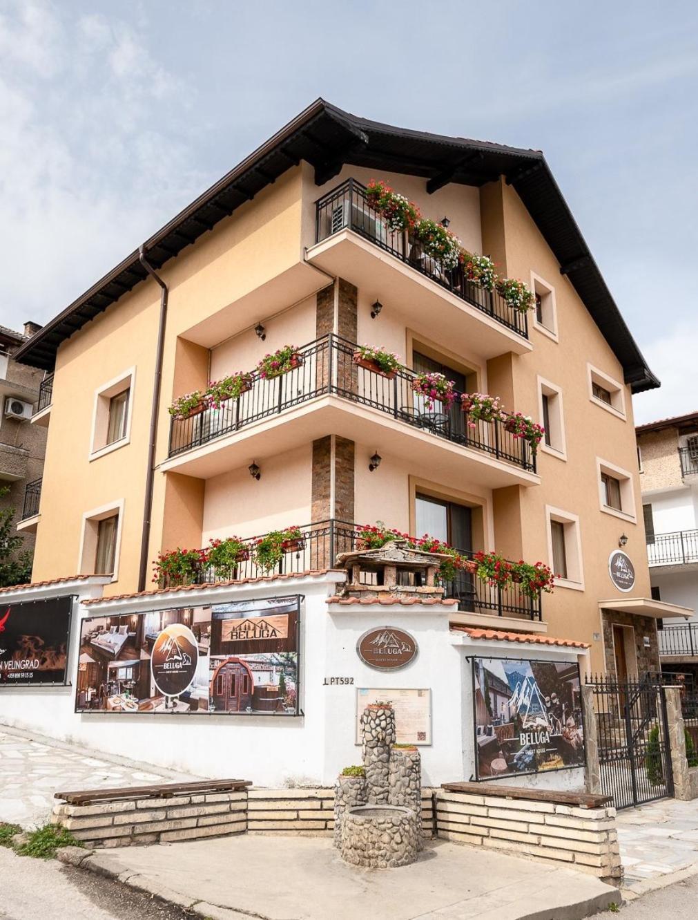 Beluga Guest House Velingrad Dış mekan fotoğraf